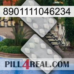 8901111046234 17
